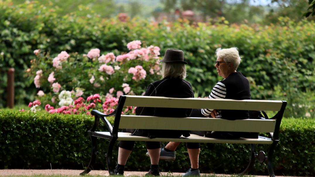 Serious Illness couple on bench