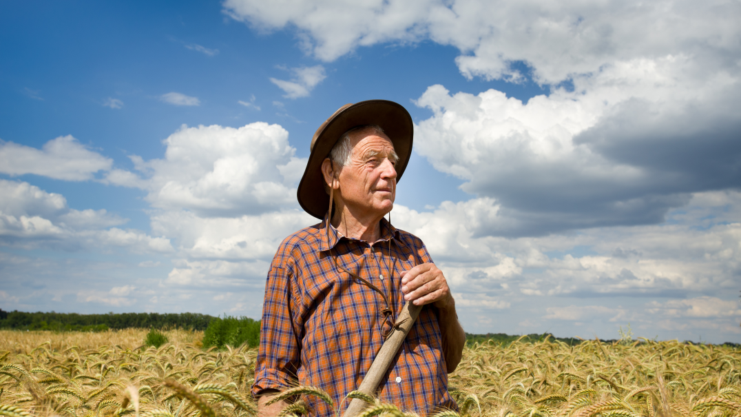 old farmer surrounded by crops.png old farmer surrounded by crops.png
